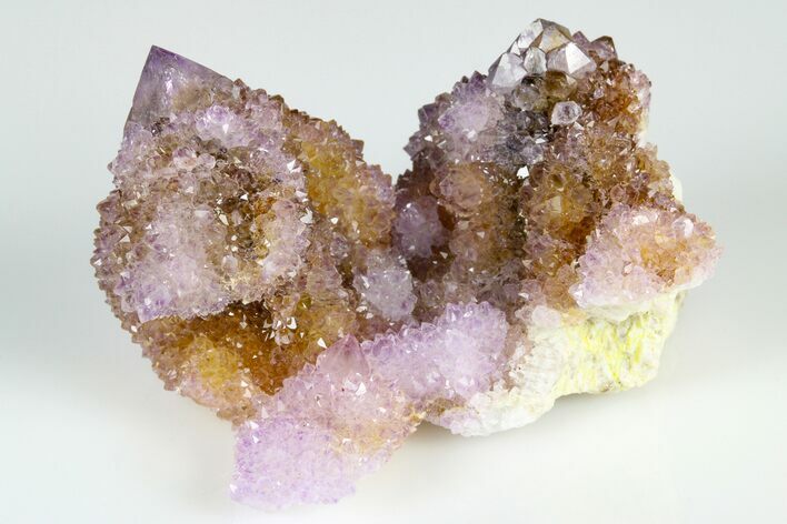 Cactus Quartz (Amethyst) Crystal Cluster- South Africa #183042